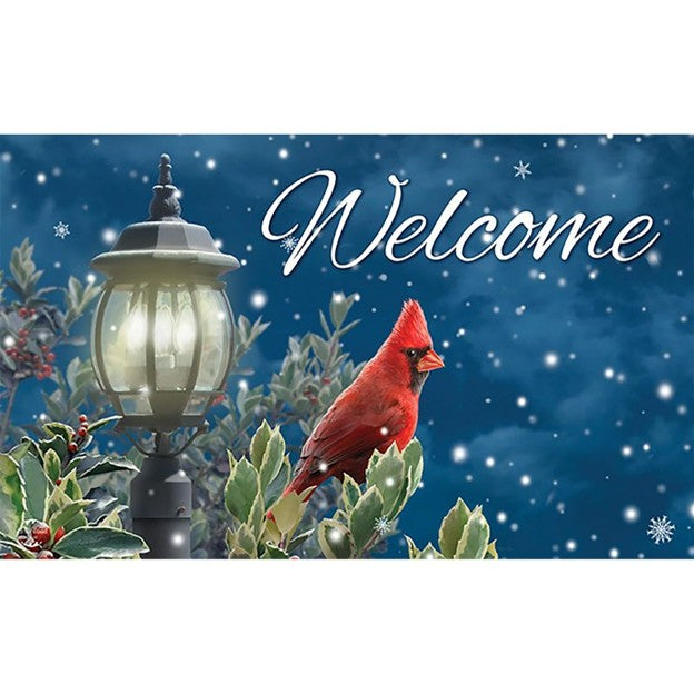 Winter Solitude Doormat