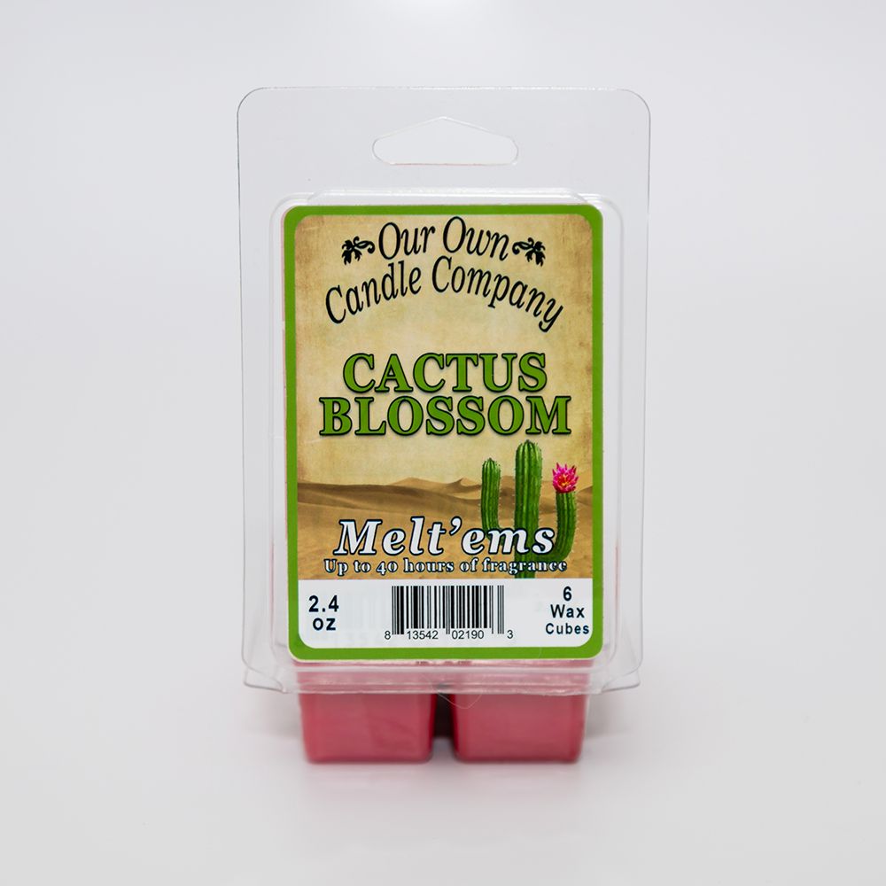 Cactus Blossom